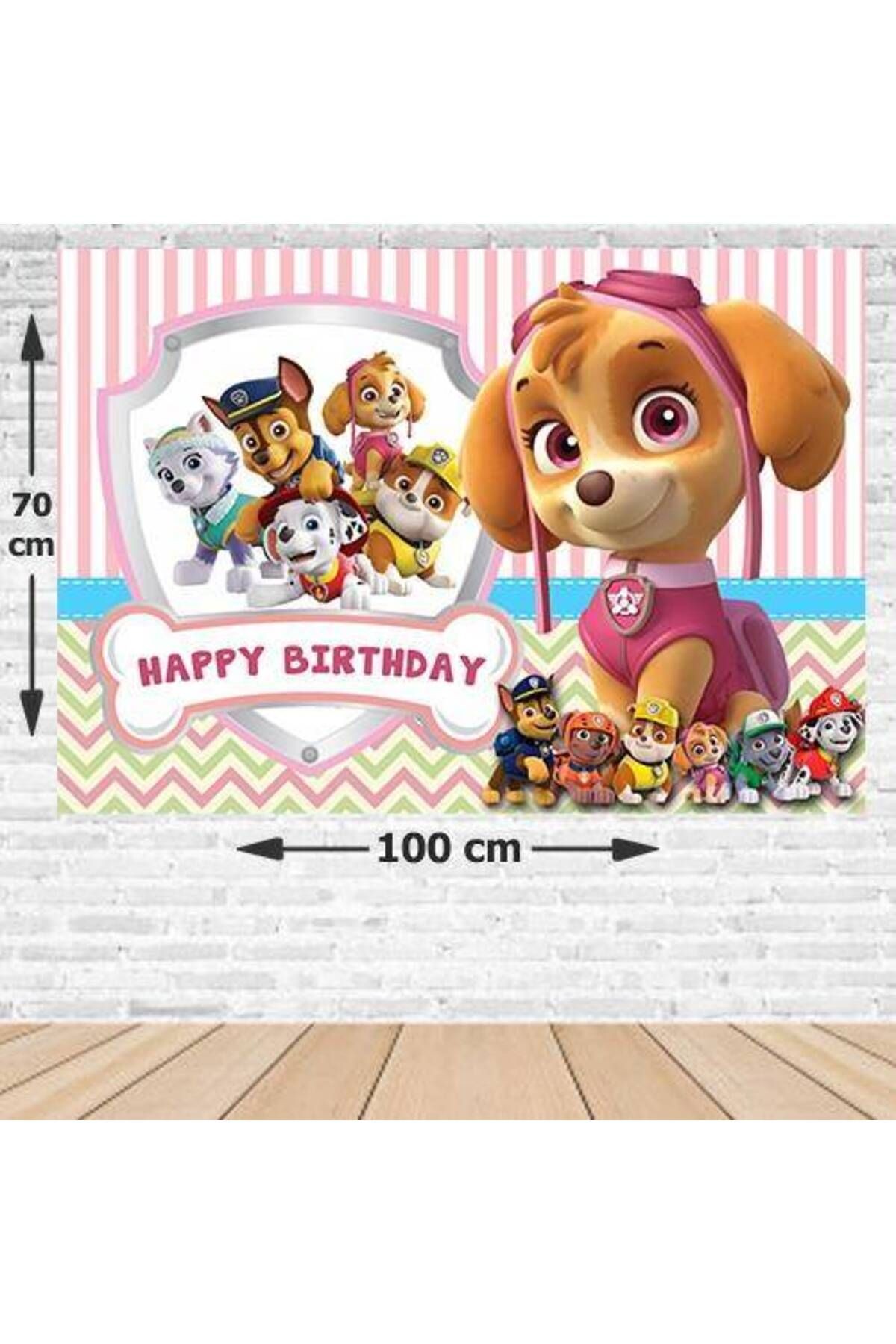 Paw Patrol Skye Doğum Günü Afişi Fotosuz 70*100 cm