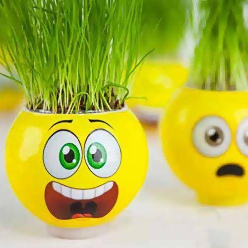 Emoji Hediyelik Çim Adam 1 Adet
