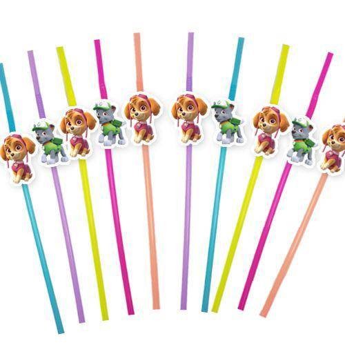 Paw Patrol Skye &amp; Rocky Artistik Pipet 10 Adet
