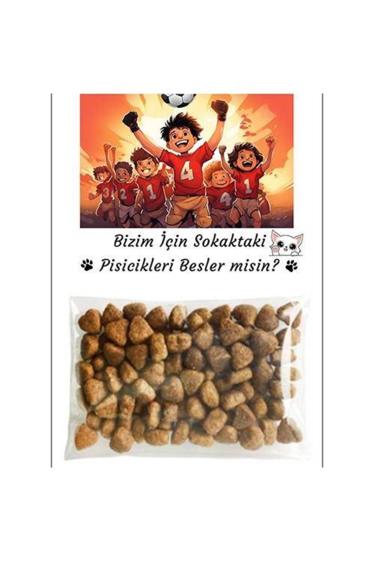 Futbol Hediyelik Kedi Maması Erkek 5 Adet