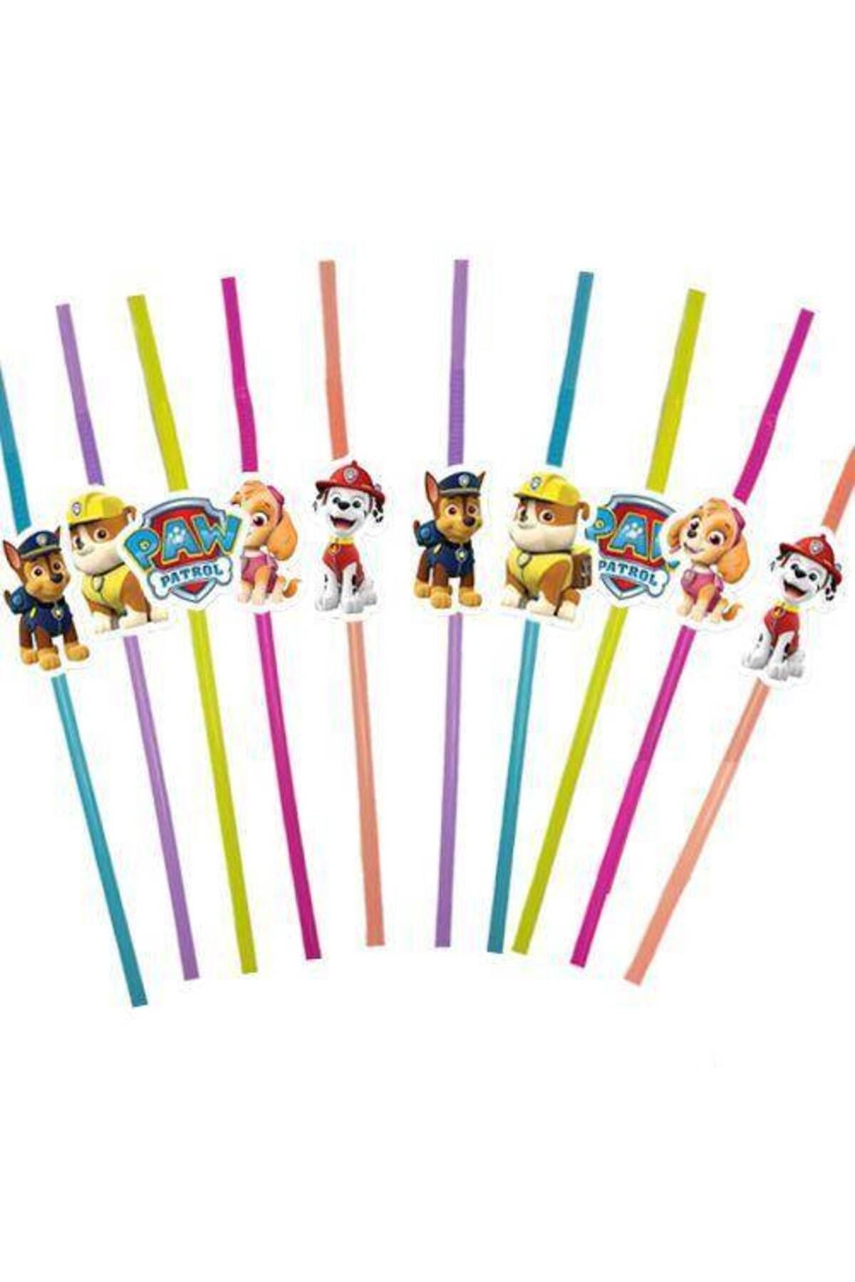 Paw Patrol Artistik Pipet (10 Adet)