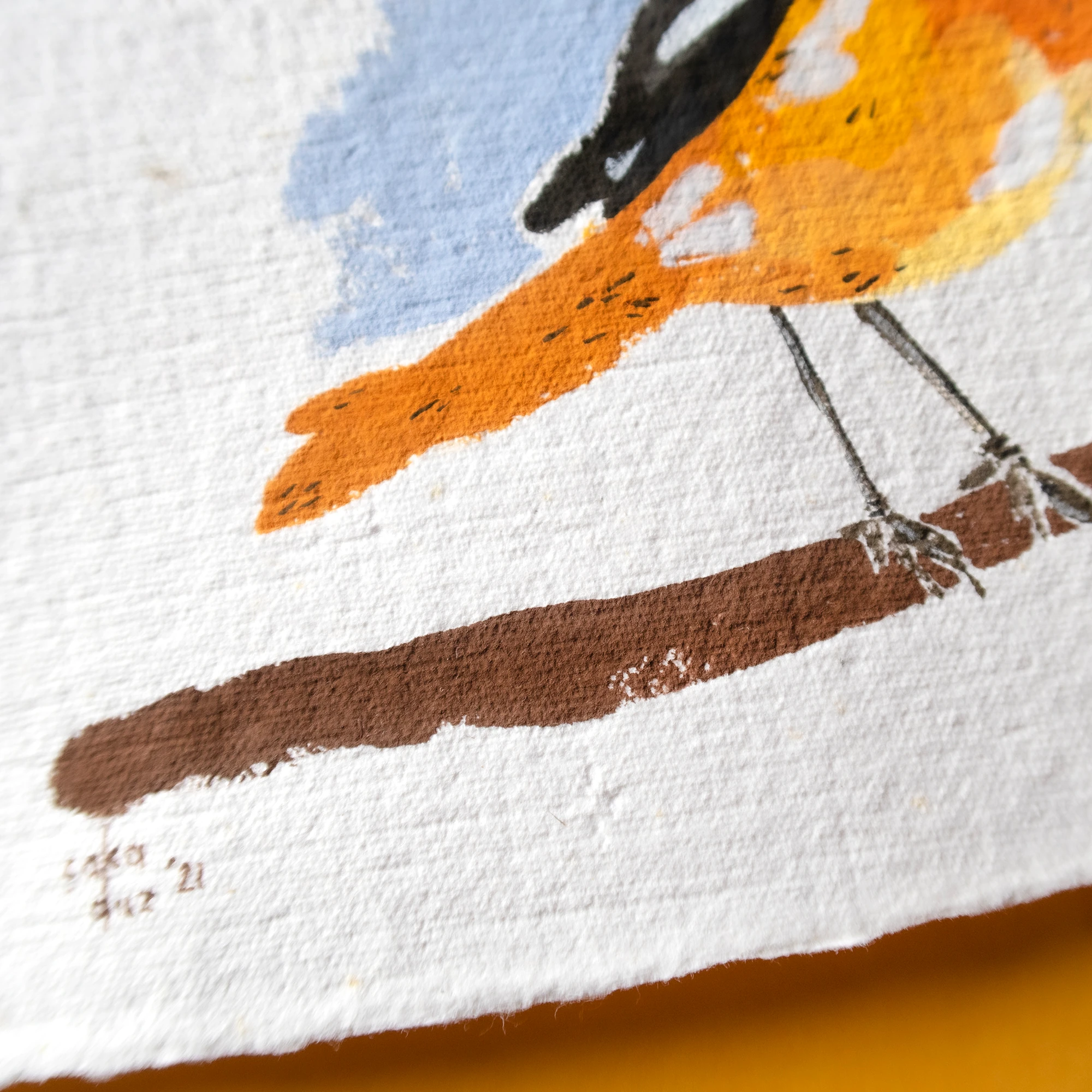 Kızılkuyruk Kuşu Guaj Resim