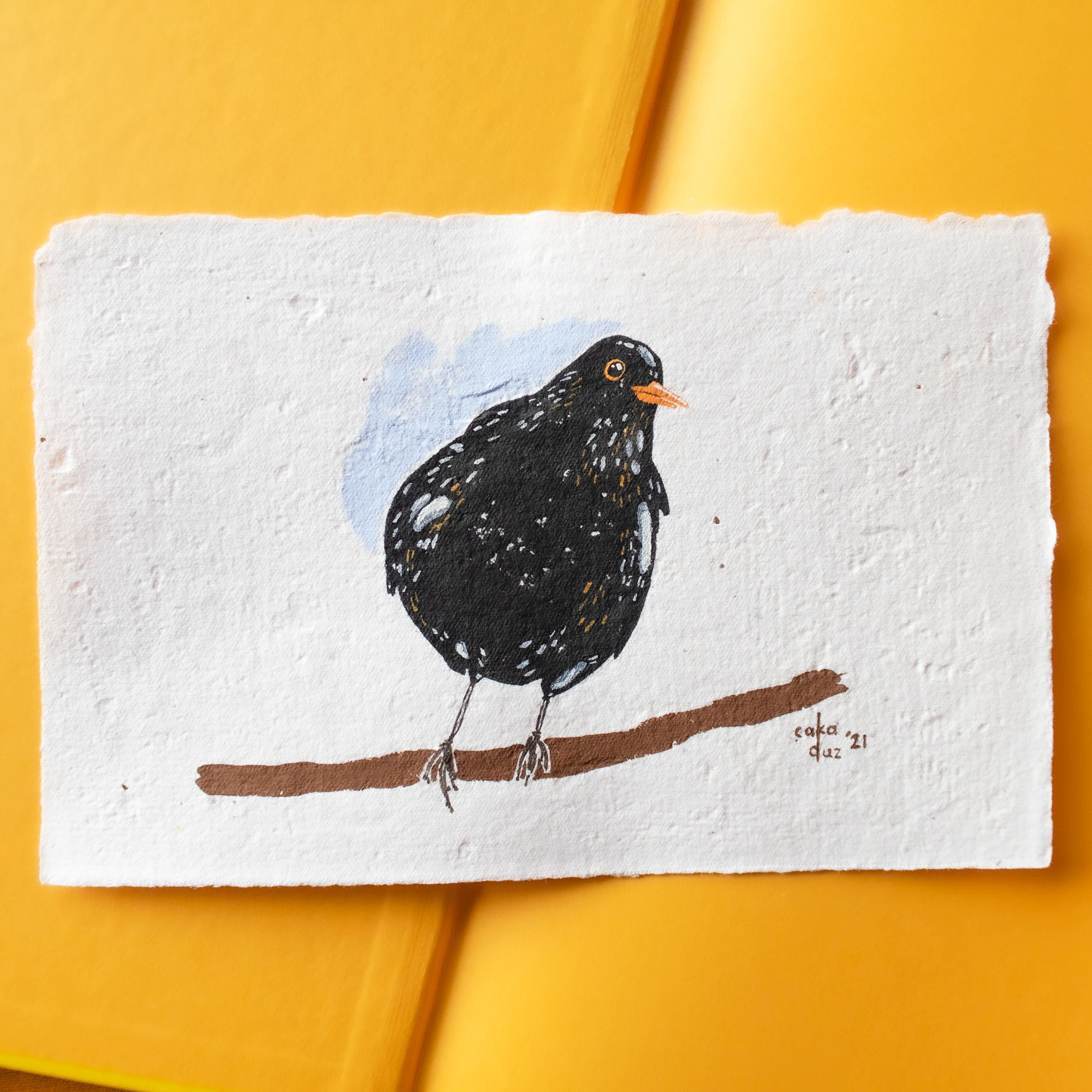 Karatavuk Guaj Resim