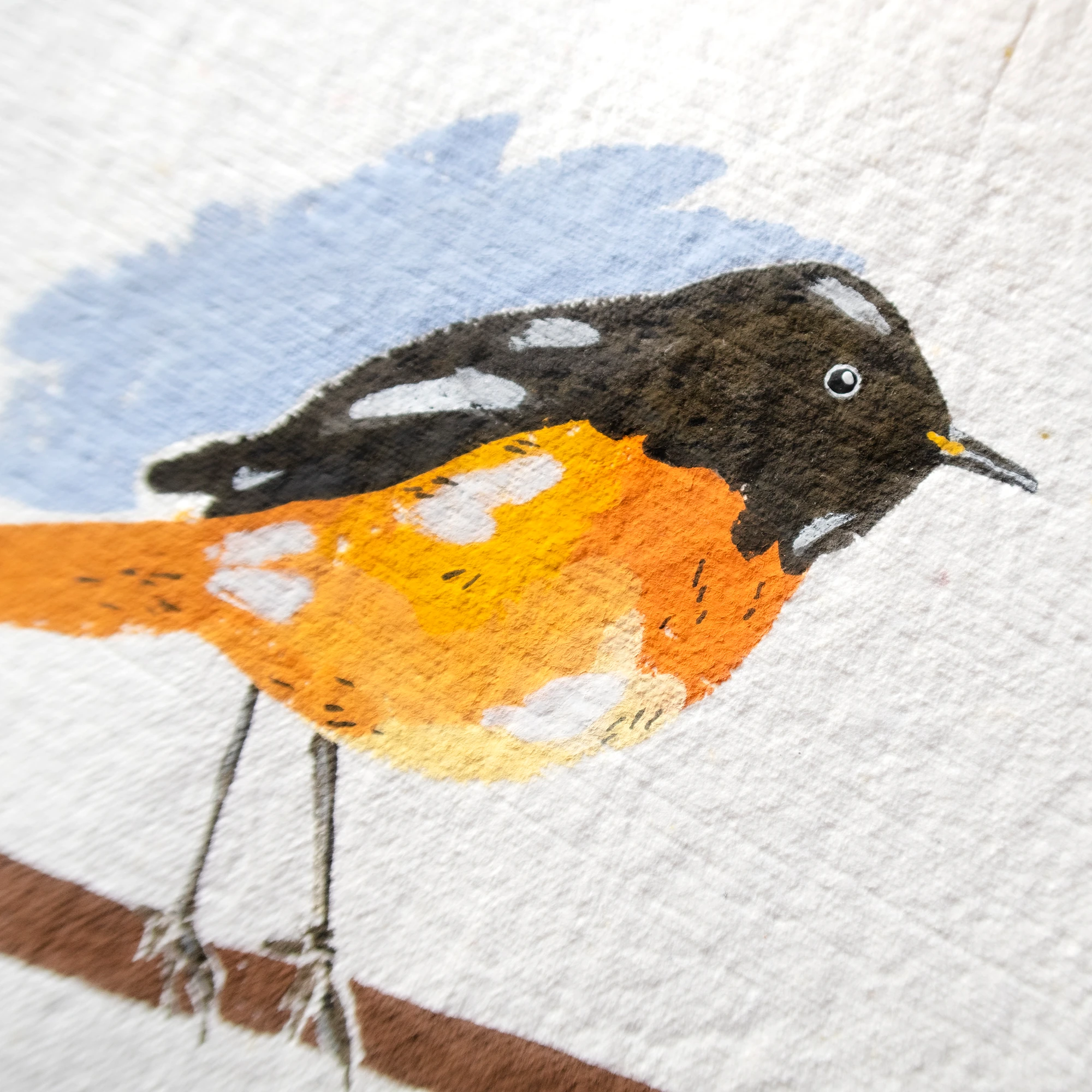 Kızılkuyruk Kuşu Guaj Resim