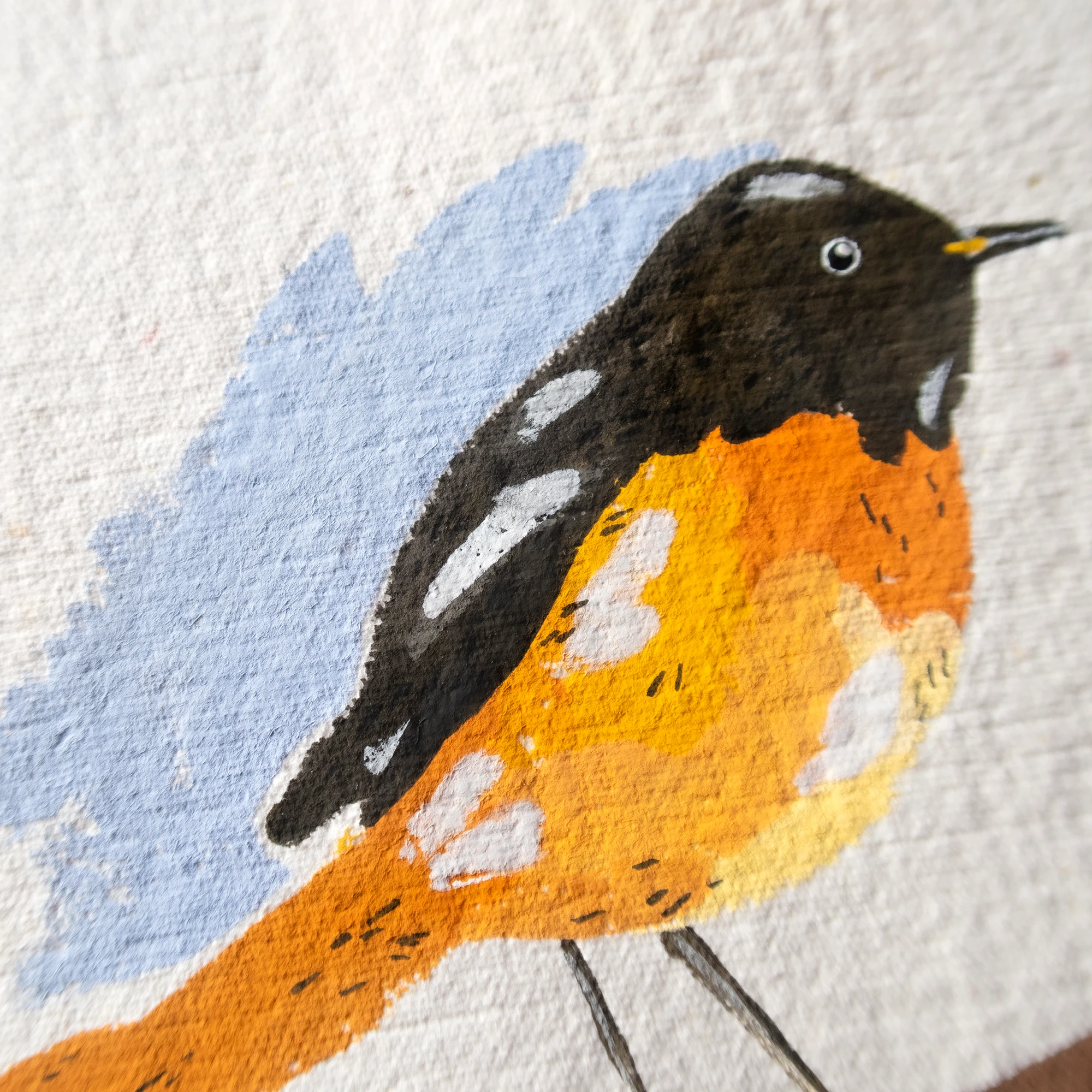 Kızılkuyruk Kuşu Çerçeveli Guaj Resim