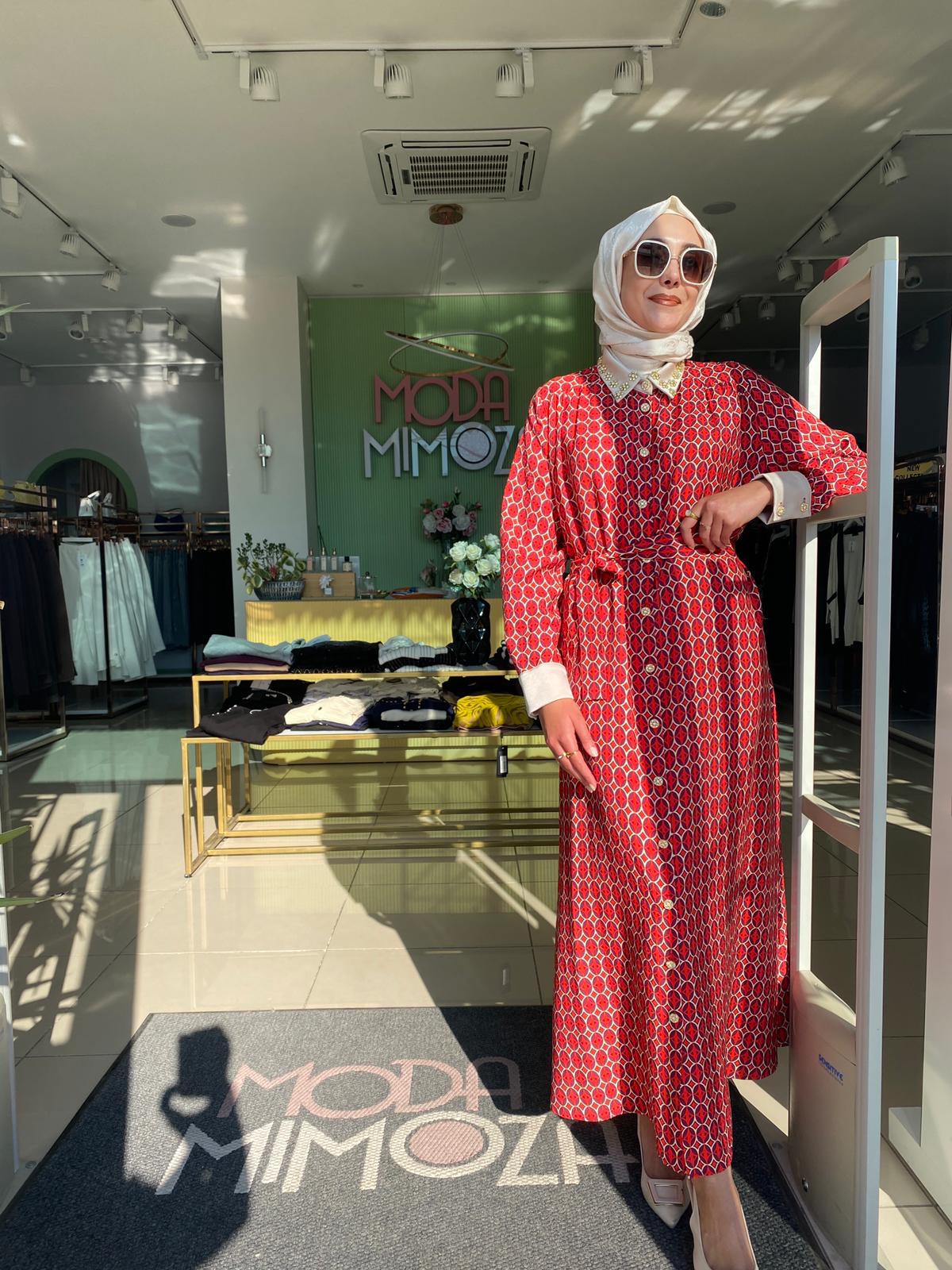 Ghisa Desenli Elbise