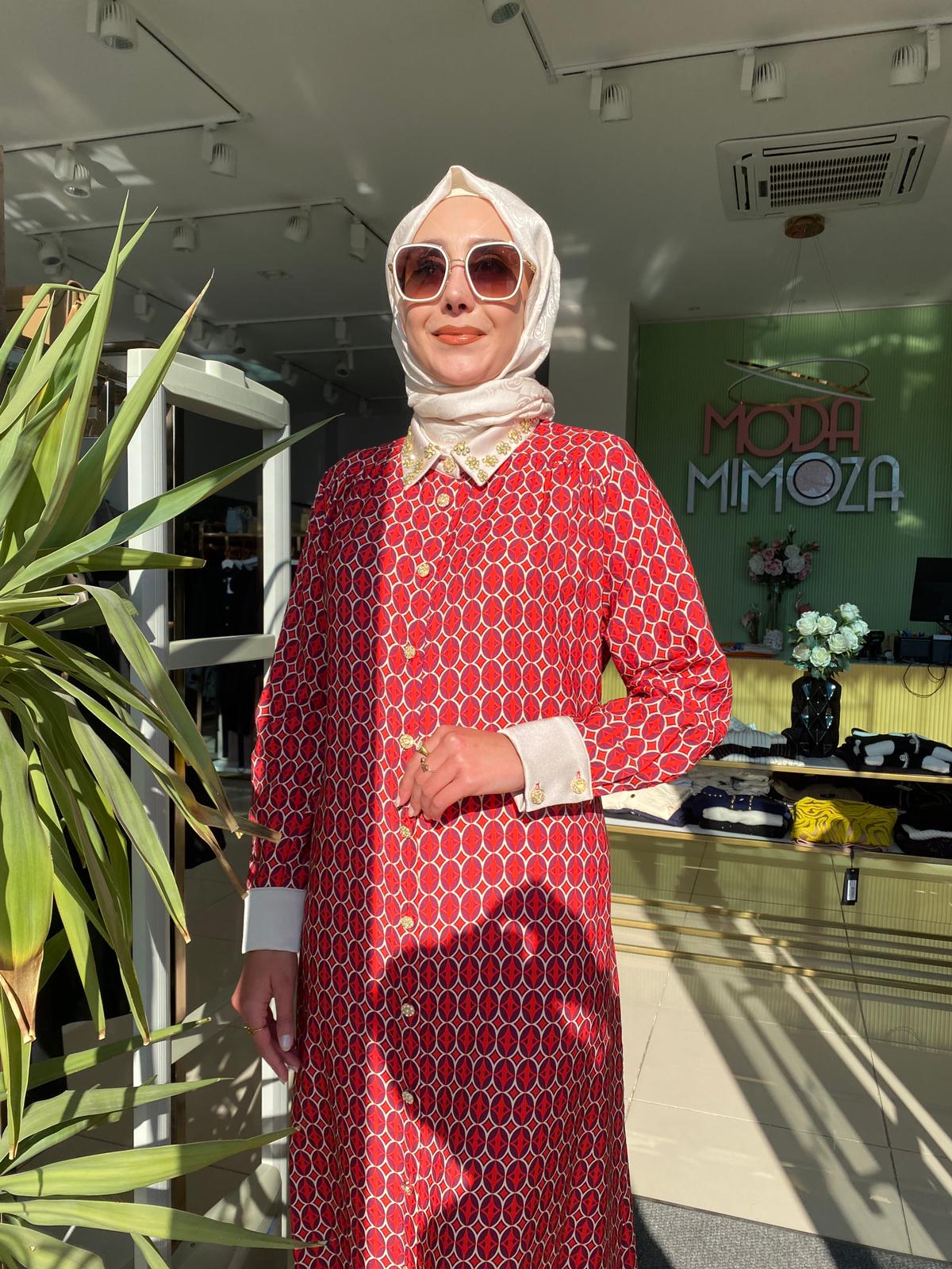 Ghisa Desenli Elbise