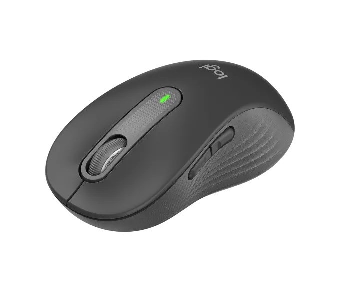 Logitech Signature M650 L Siyah 910-006236