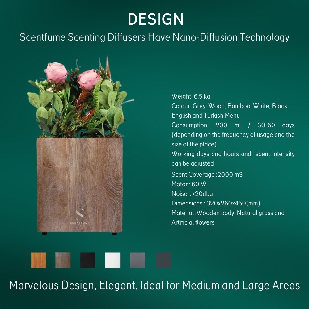 Design Koku Makinesi 