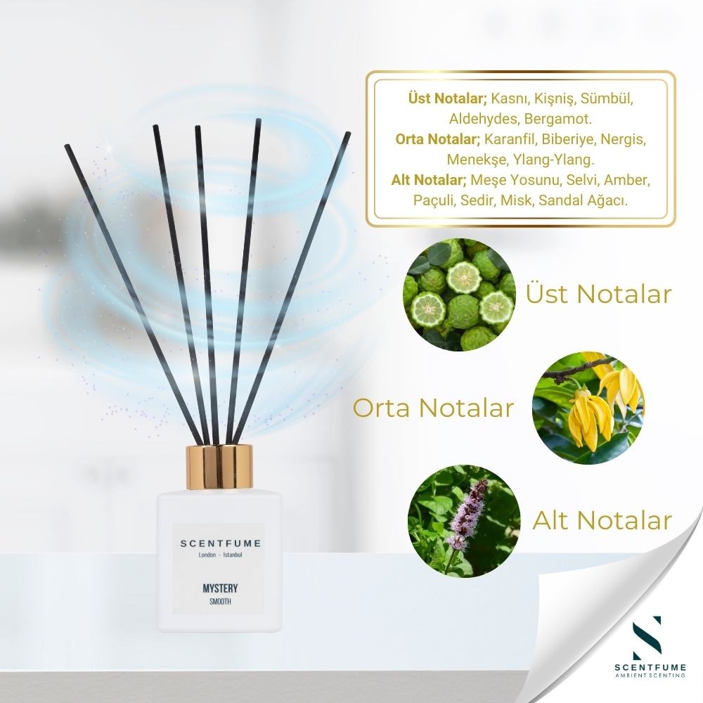 Mystery Reed Diffuser