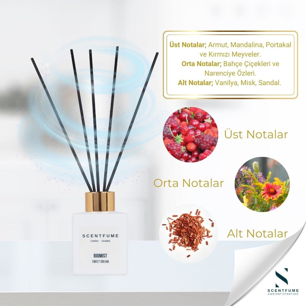 Biomist Reed Diffuser