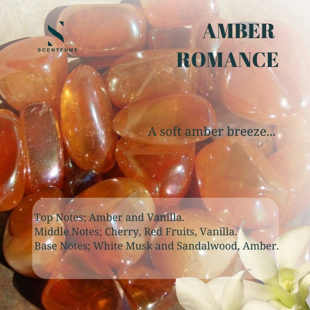 Amber Romance Araç Kokusu 