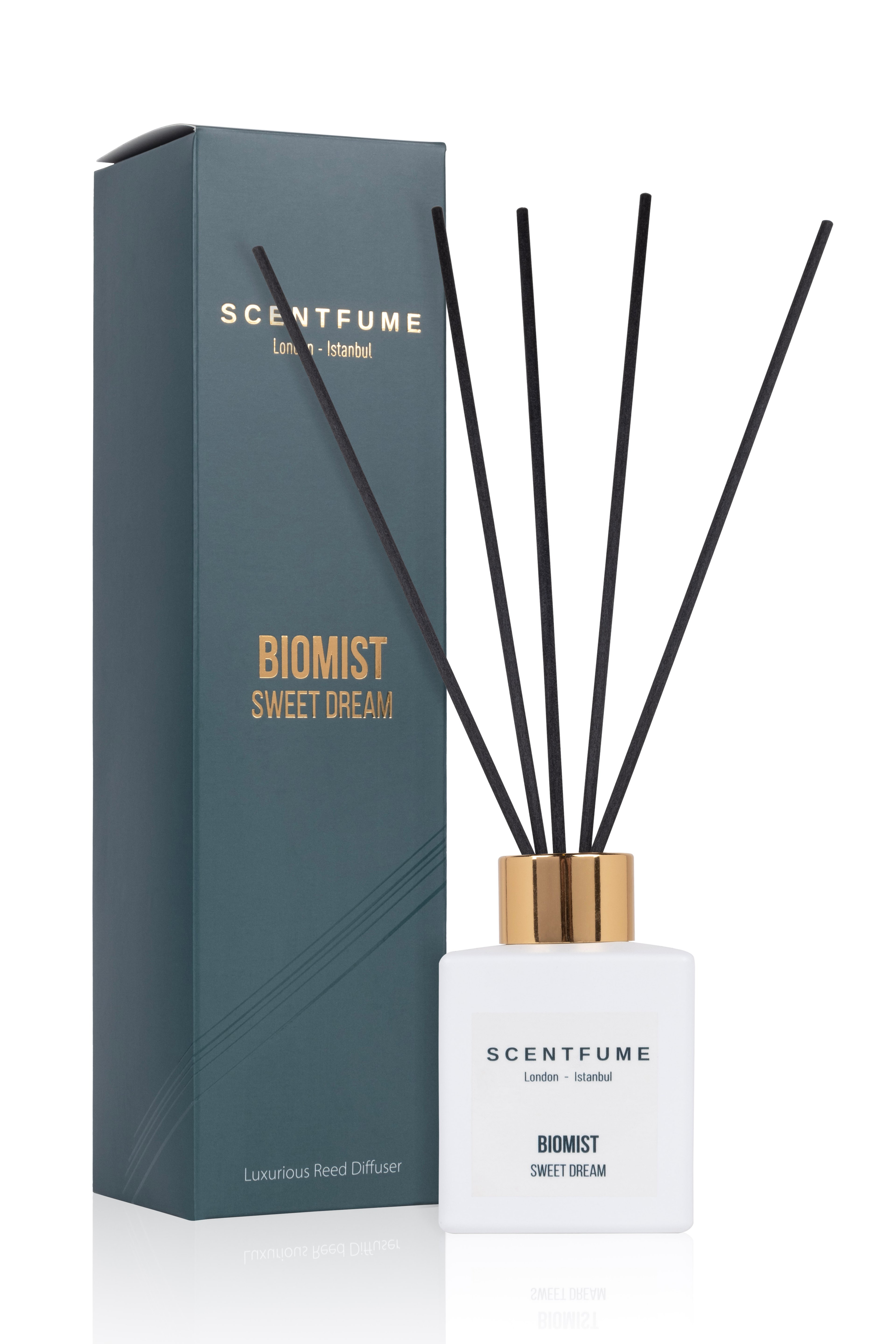 Mystery Reed Diffuser