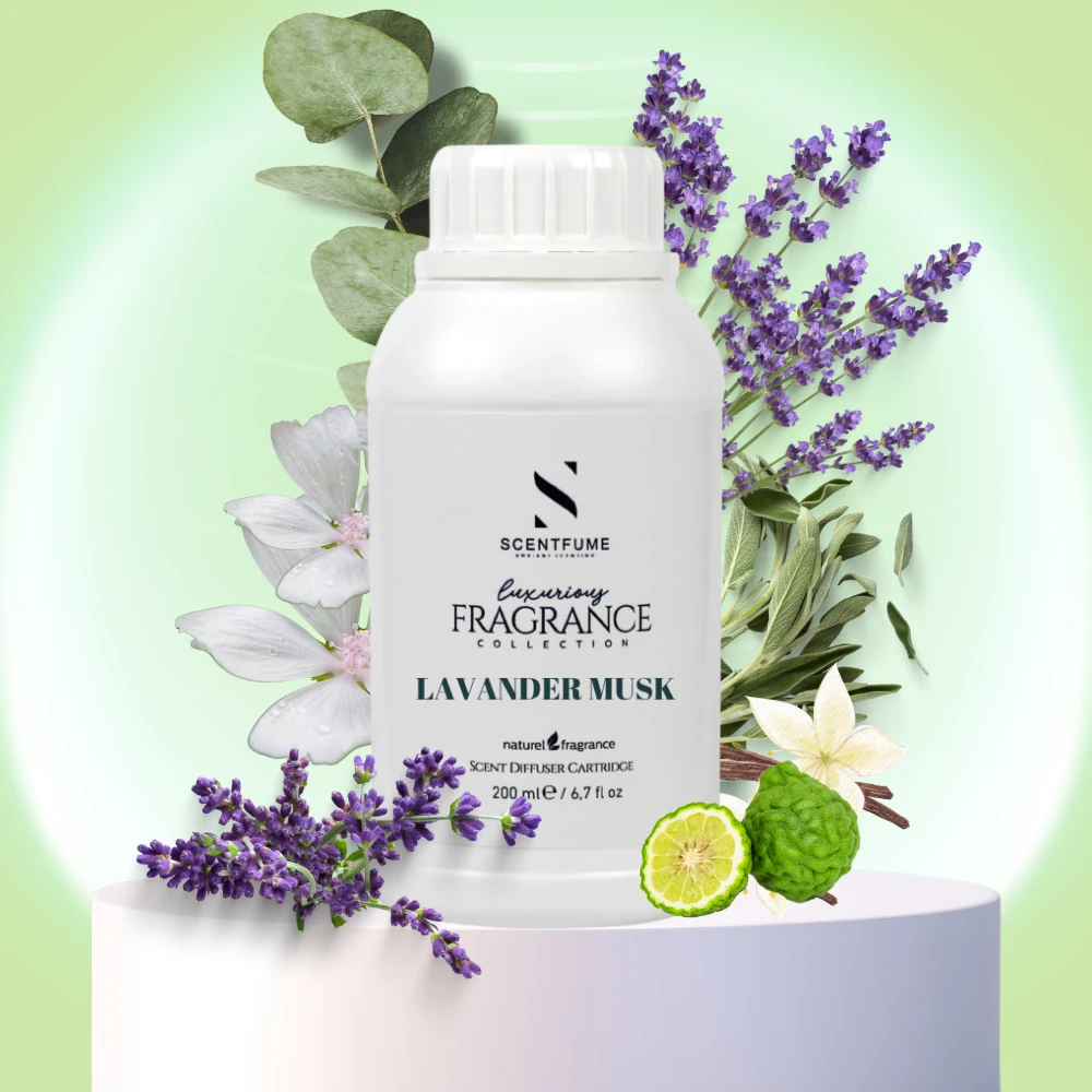 Lavander Musk Koku Maknesi Kartuşu