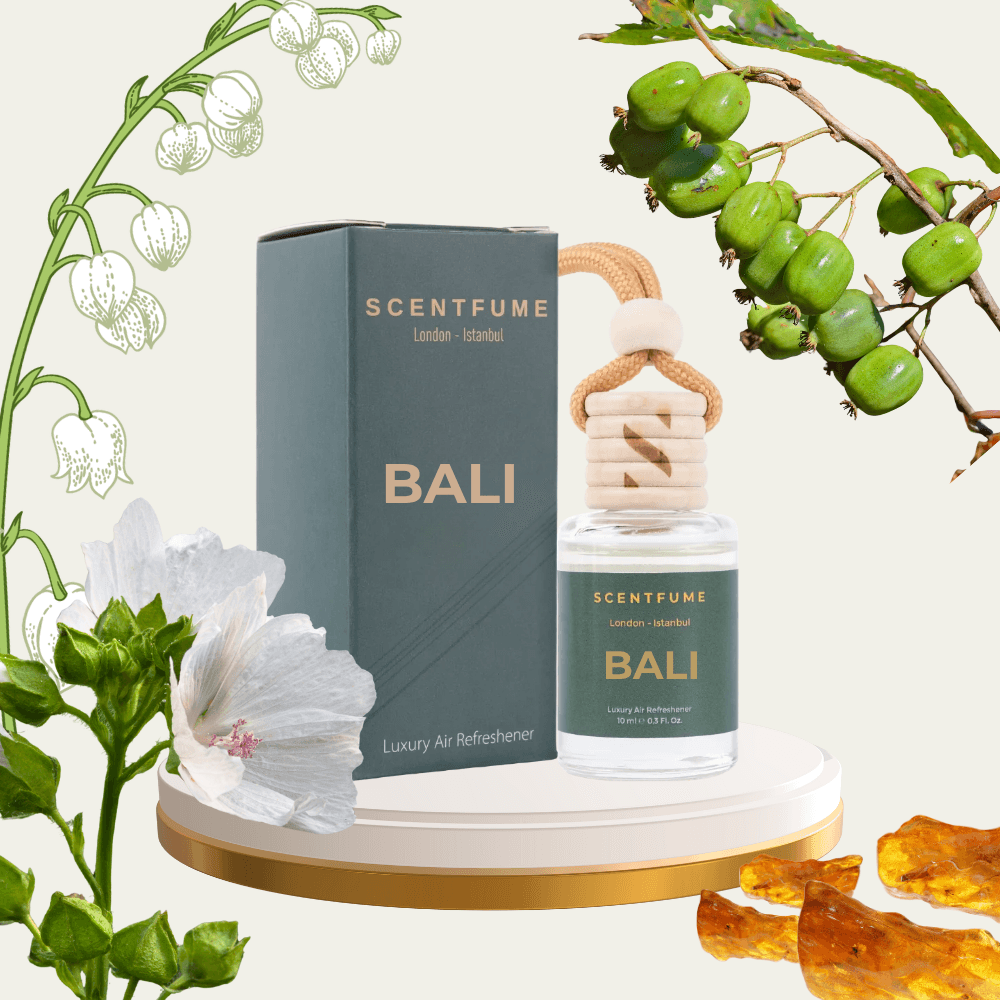 Bali رائحة السيارة