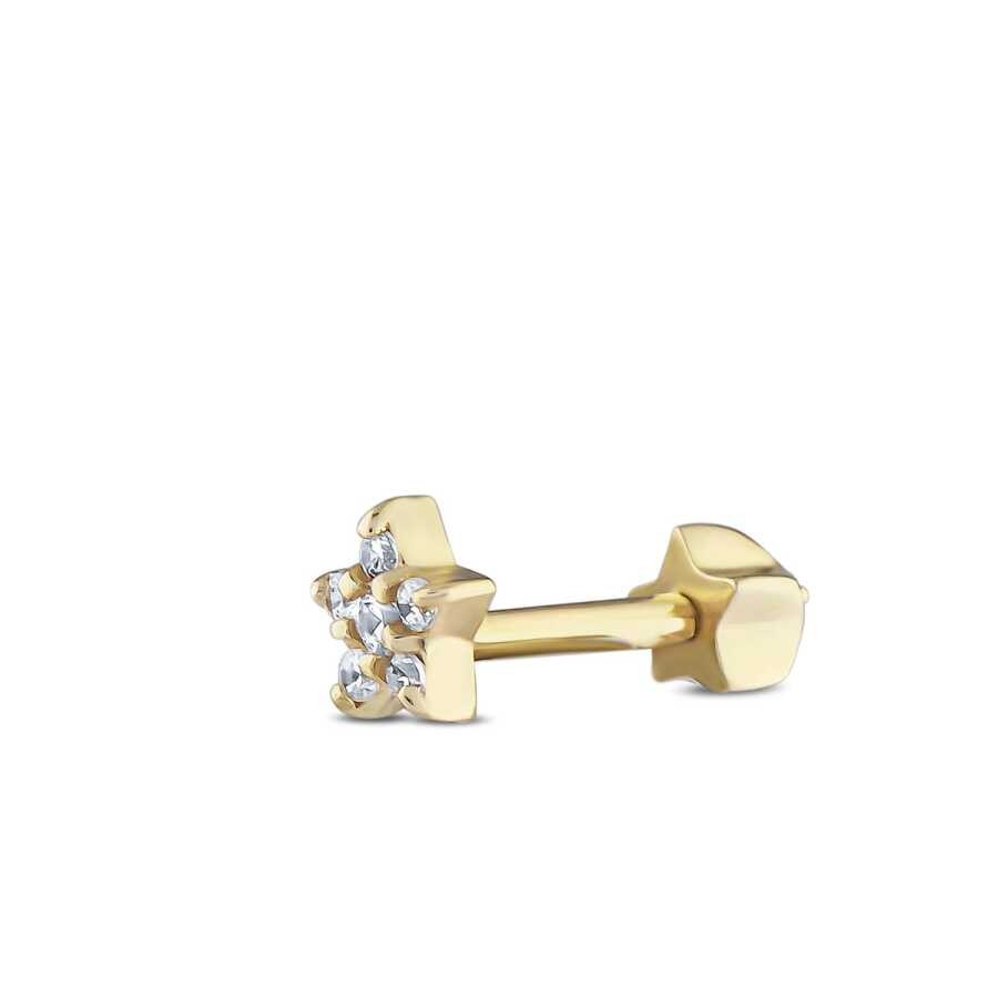 Gold Star Tragus Earrings