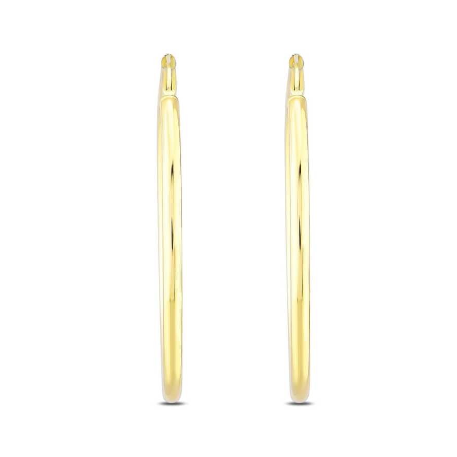 Gold Hoop Earrings