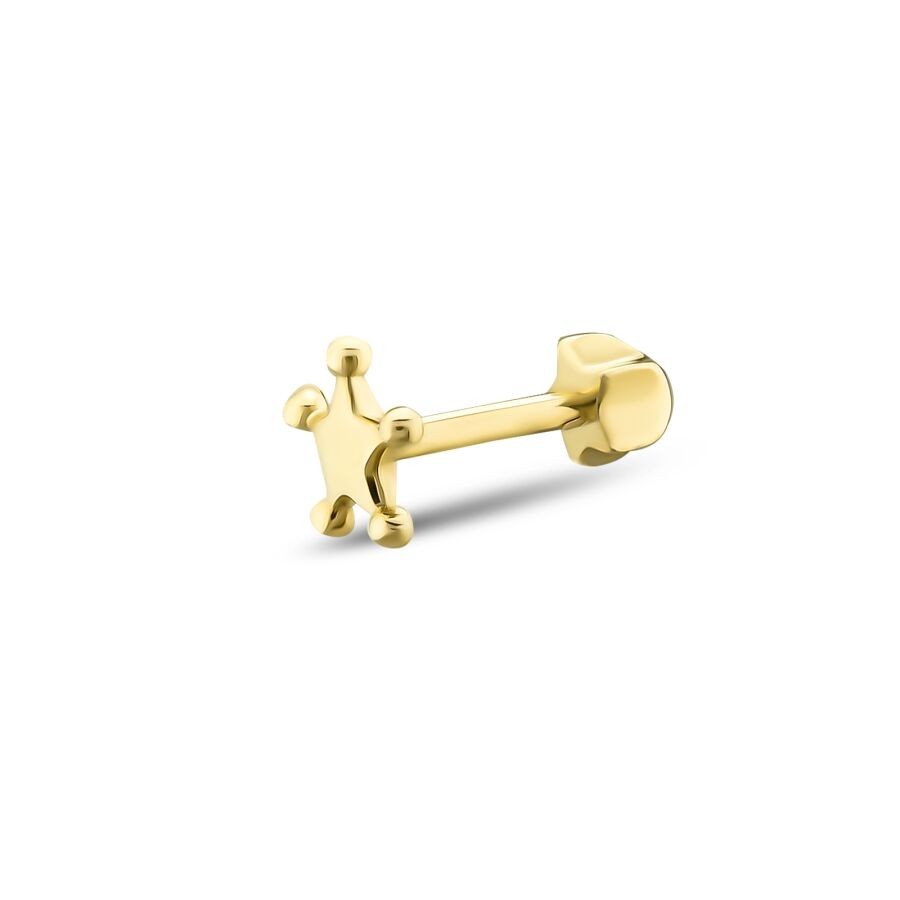 Gold Doric Star Tragus Earring