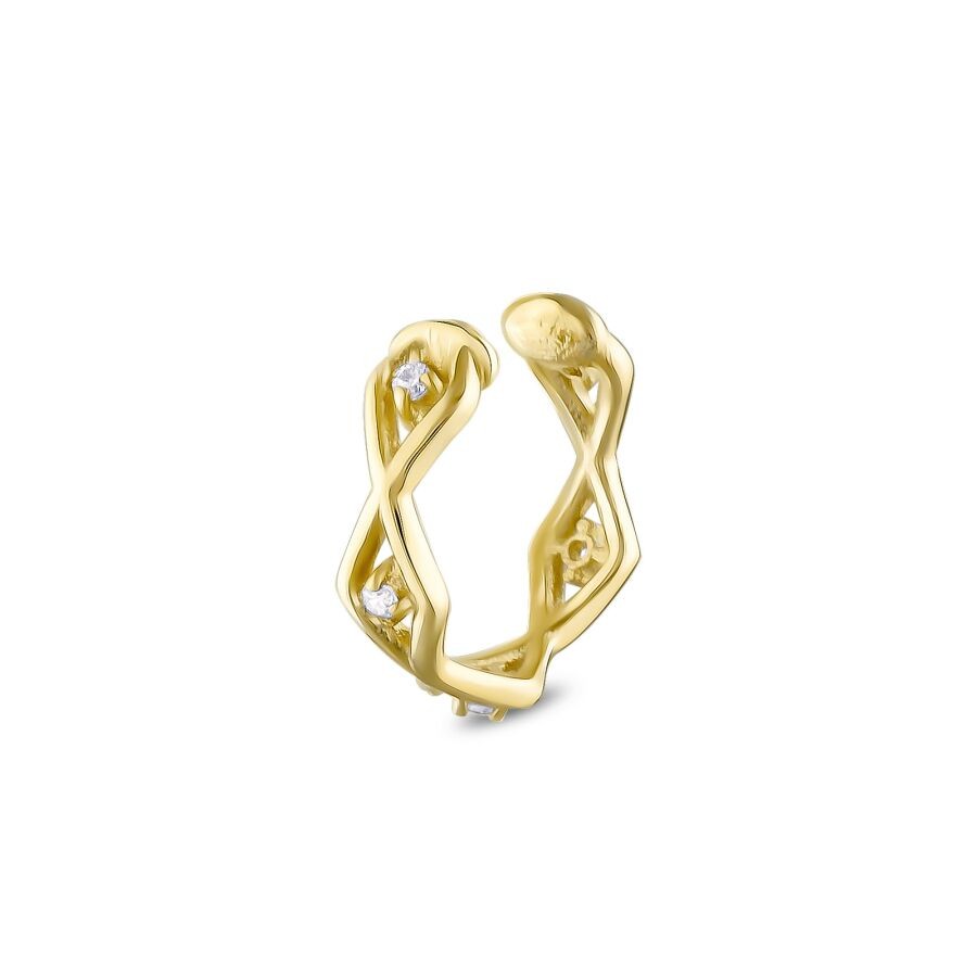 Gold Trend Tragus Earring