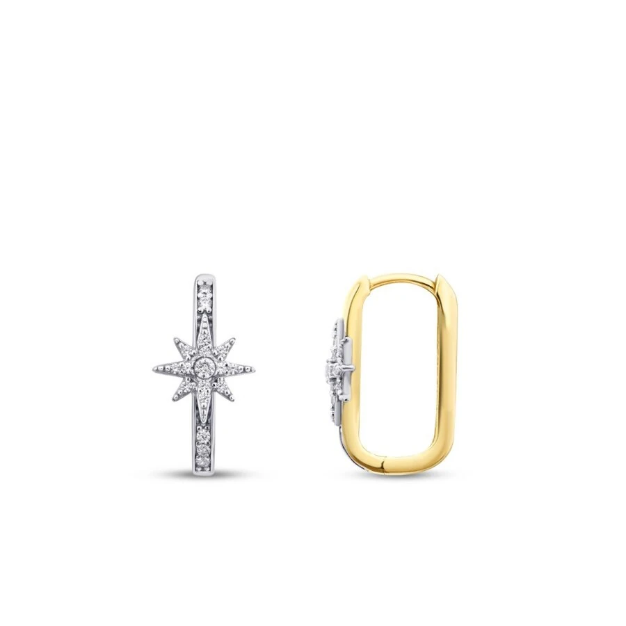 Gold Stone North Star Earrings