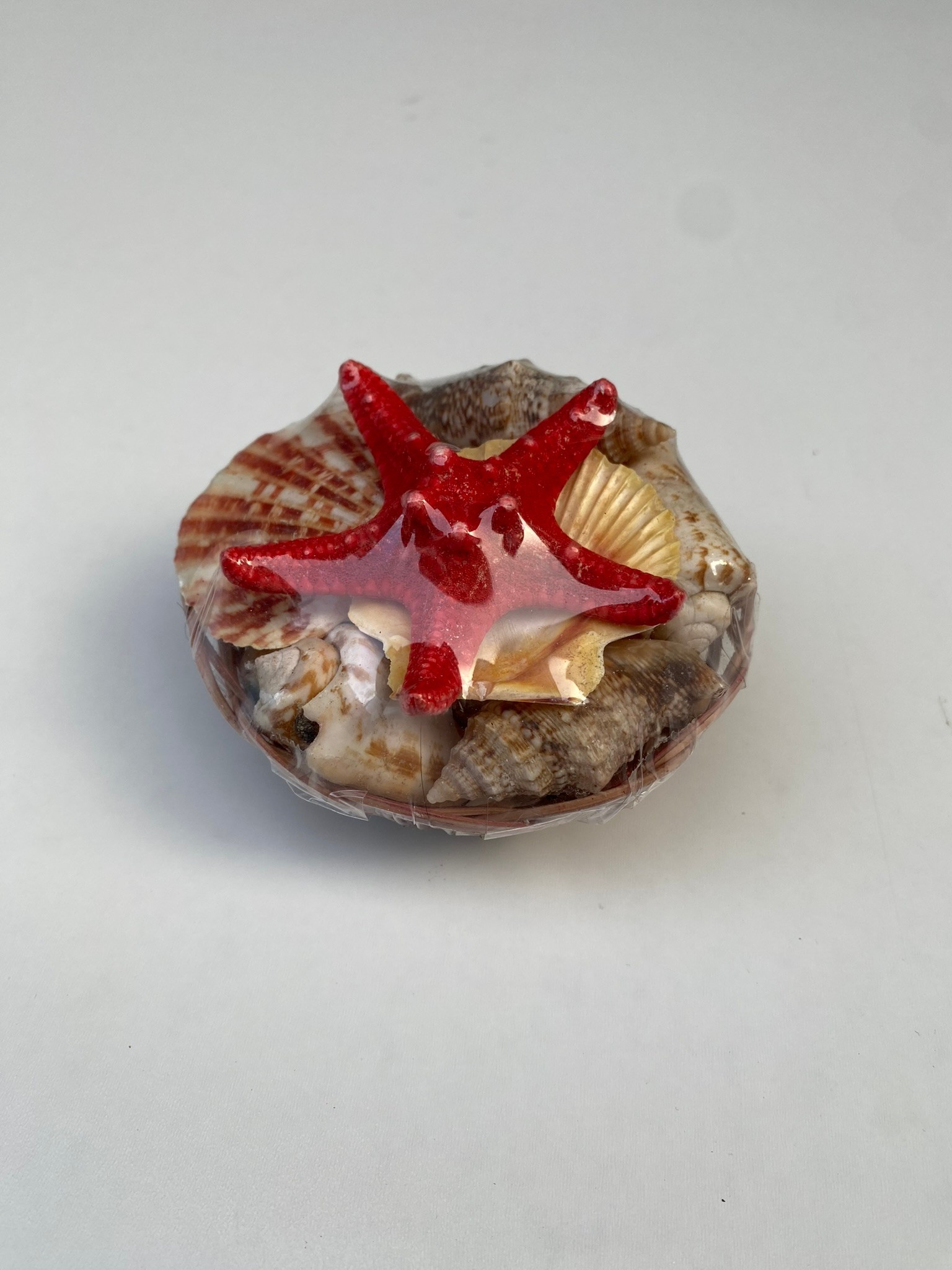 Shell Pack Star Red Deniz Kabuklu Sepet Biblo #4