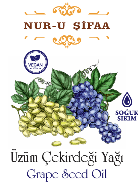 ÜZÜM ÇEKİRDEĞİ