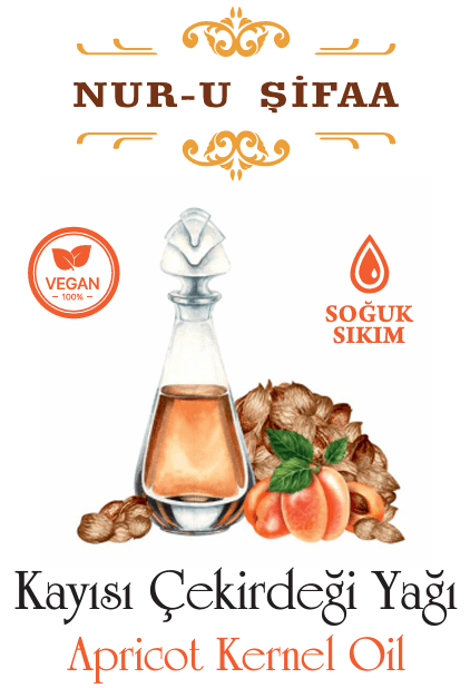 KAYISI ÇEKİRDEĞİ YAĞI