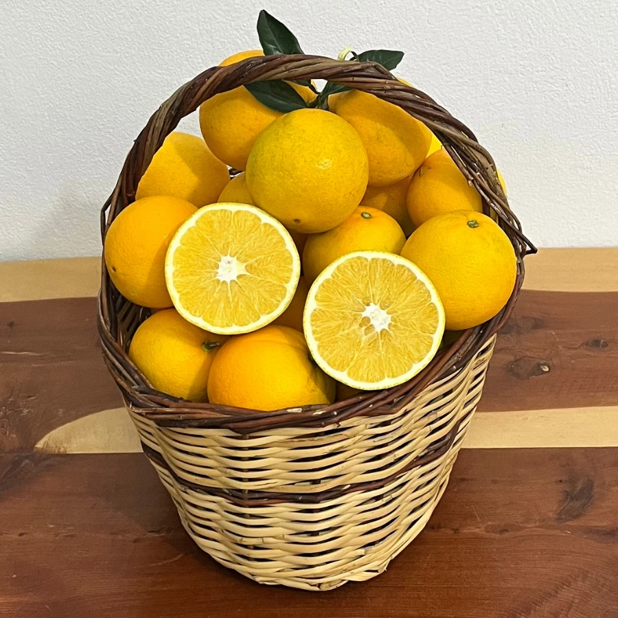 1 KG PORTAKAL (Washington)