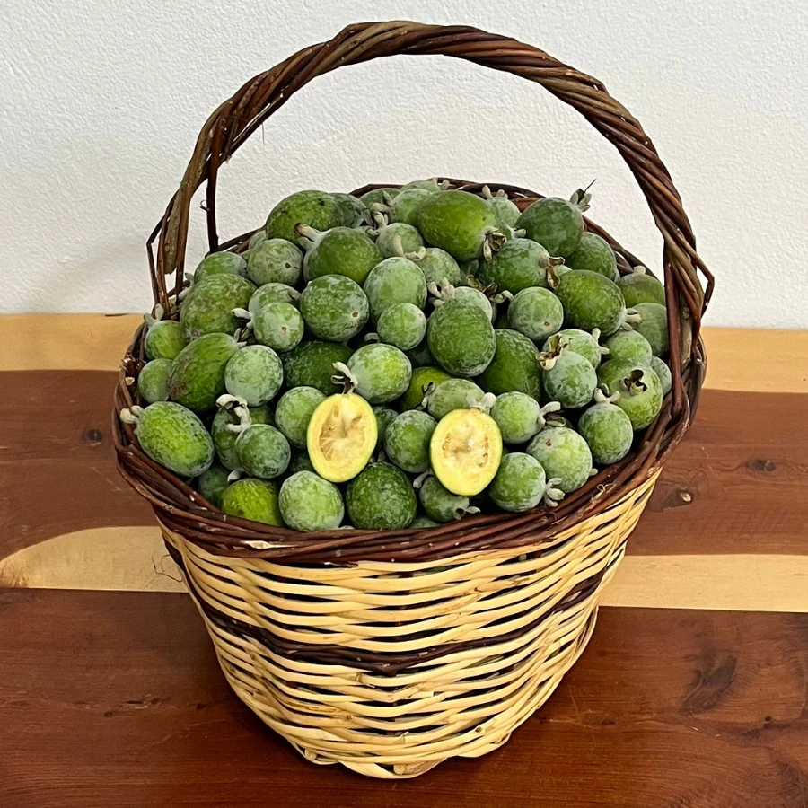 500 gr Kaymak (Feijoa) Meyvesi