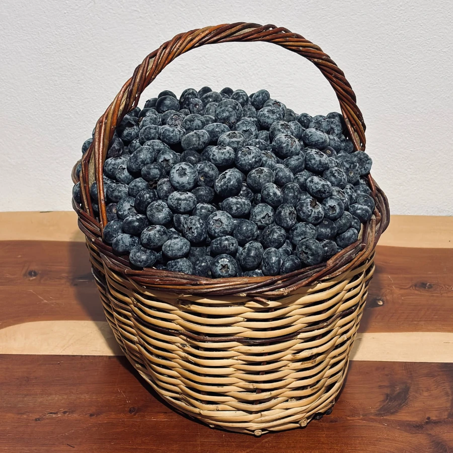 500 gr Yaban Mersini Ultra Jumbo (Yerli)