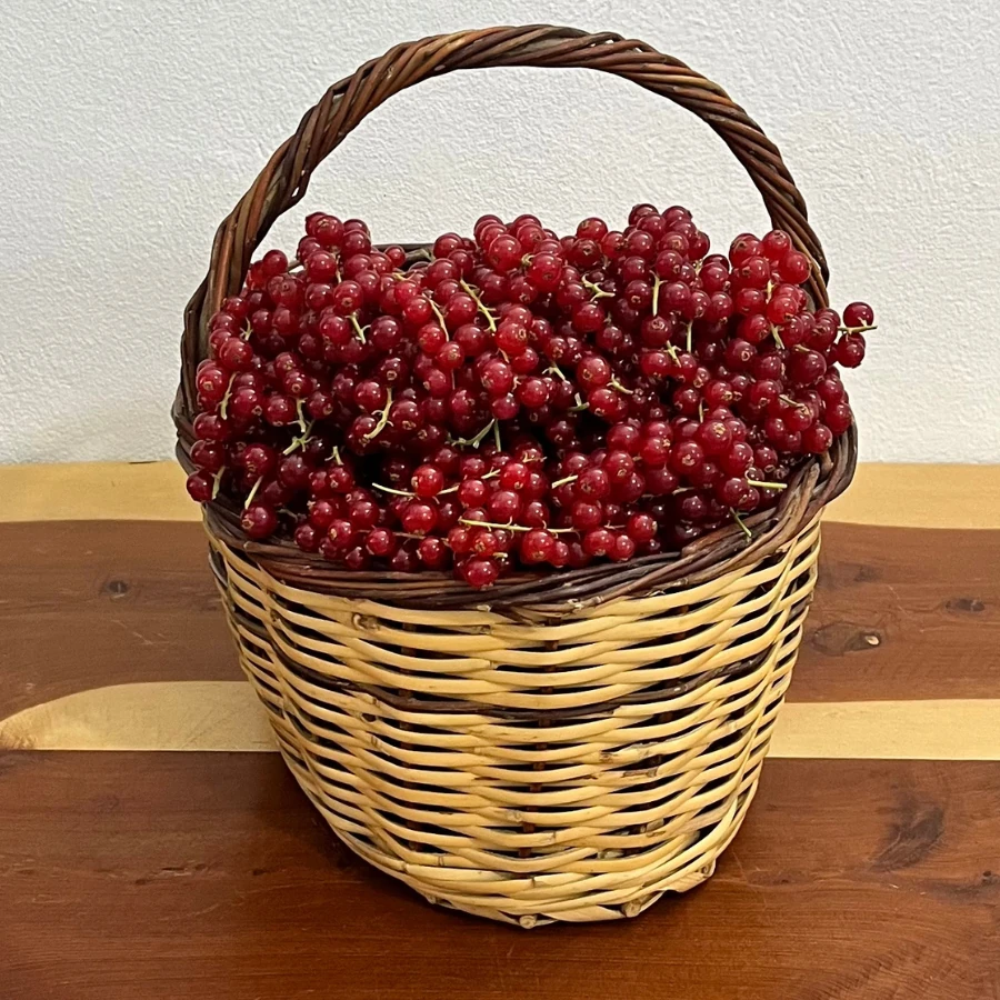 120 gr Frenk Üzümü (Red berries)