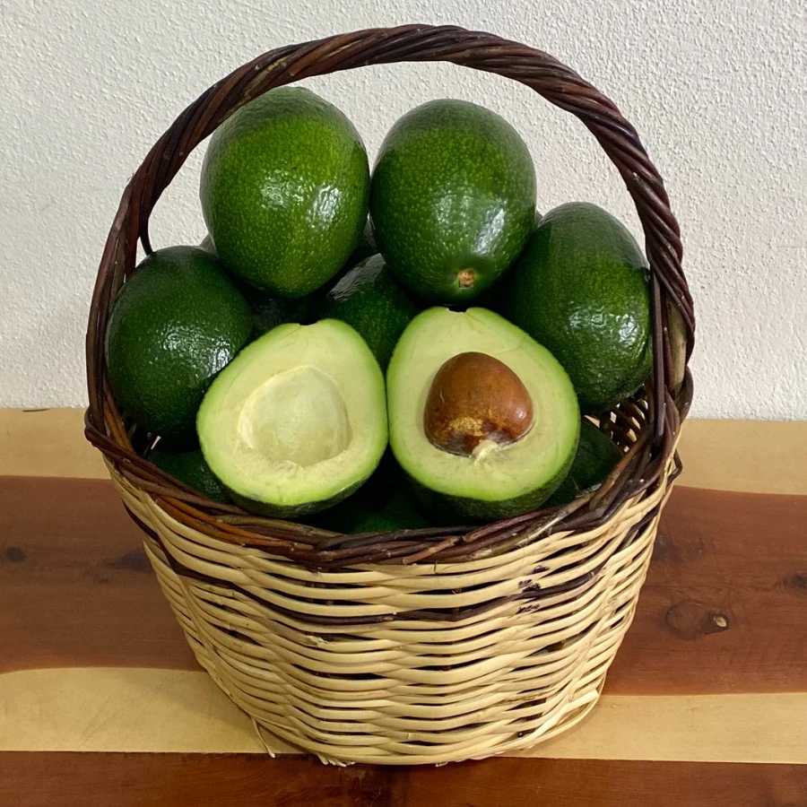 1 kg Avokado (Bacon) 250 gr üzeri