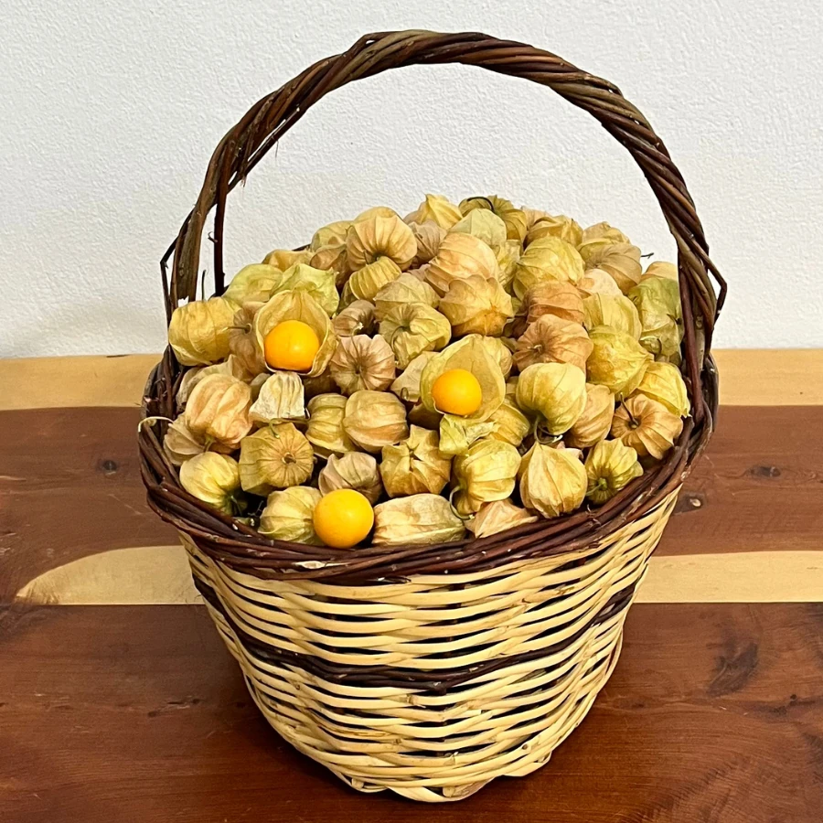 100 gr Altın Çilek