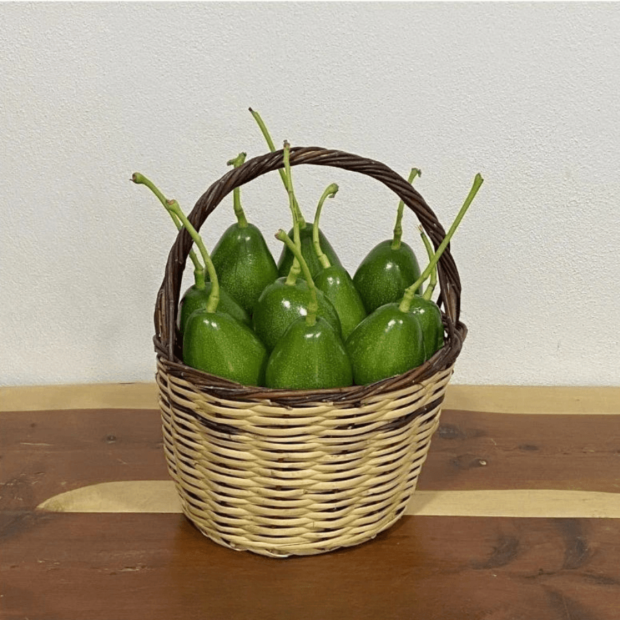 10 adet Avokado (Clifton) 200-250 gr arası