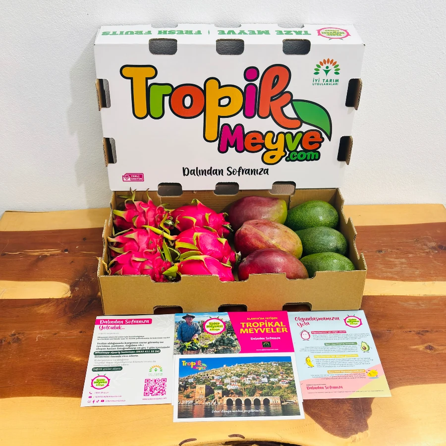 Karışık Meyve Kutusu