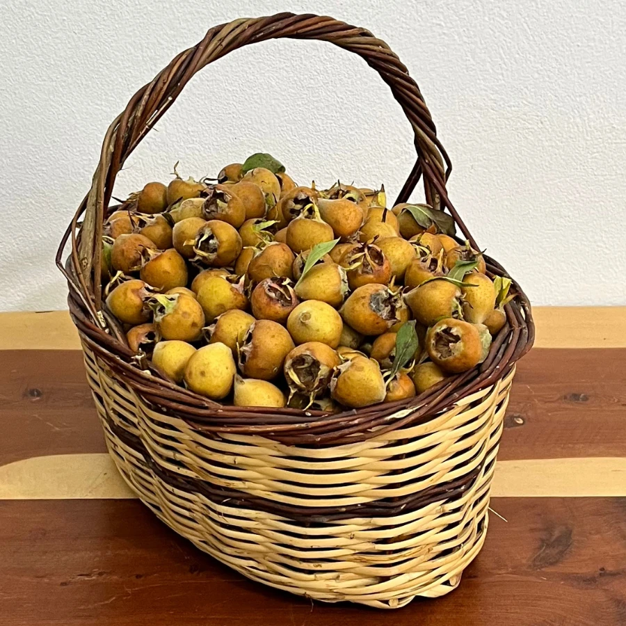 500 gr Yerli Muşmula (Töngel)