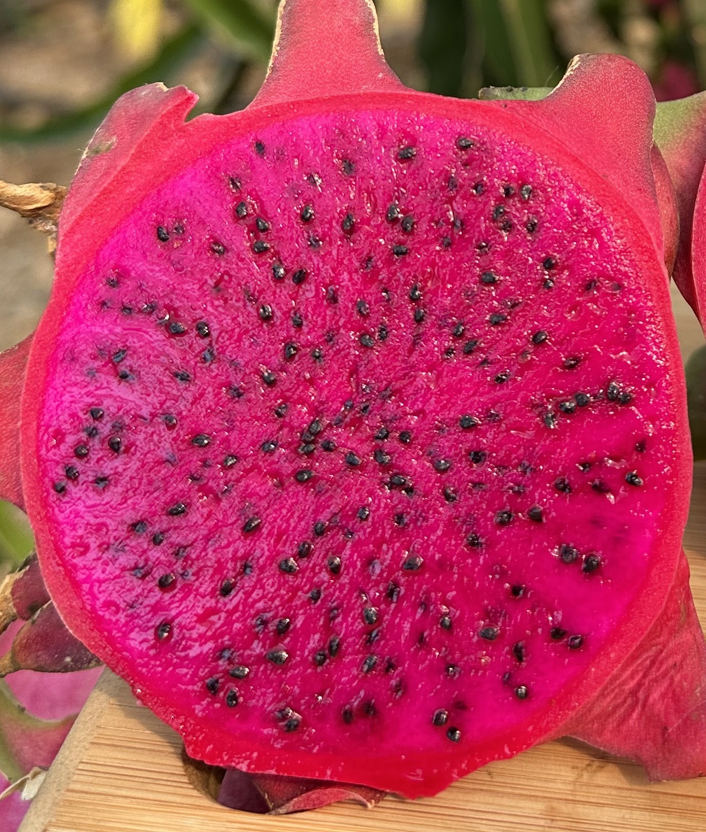 1 adet Kırmızı Ejder Meyvesi (250 gr ve üzeri)