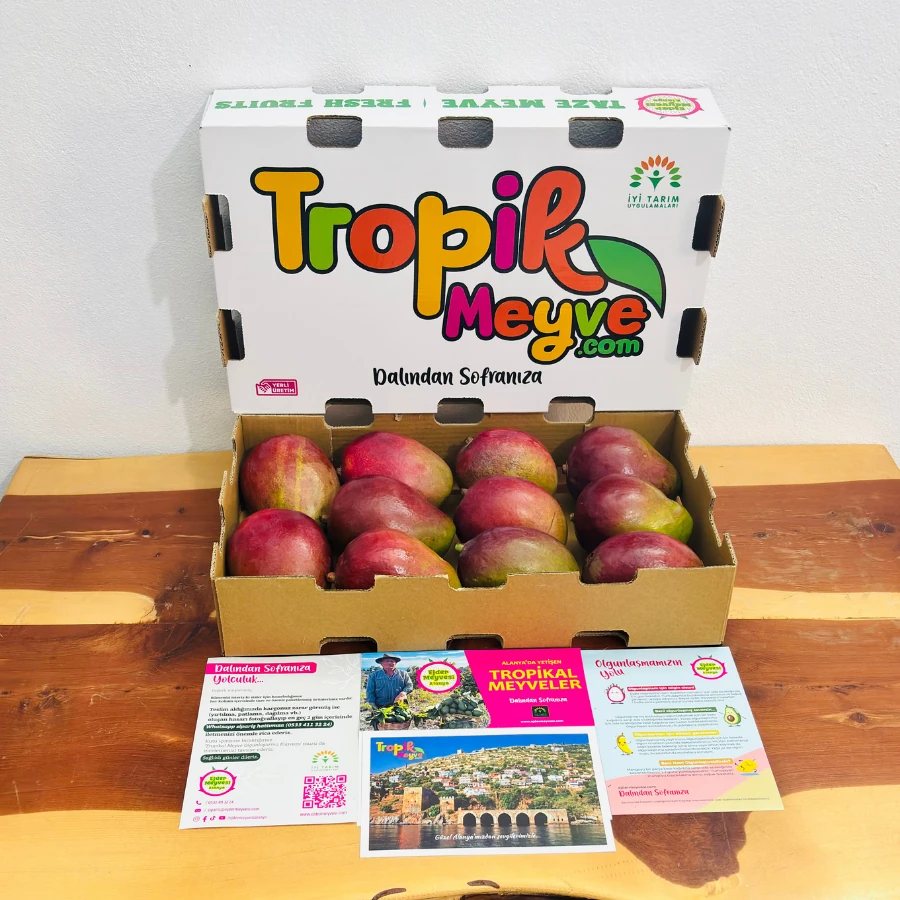 3 Mango Kutusu