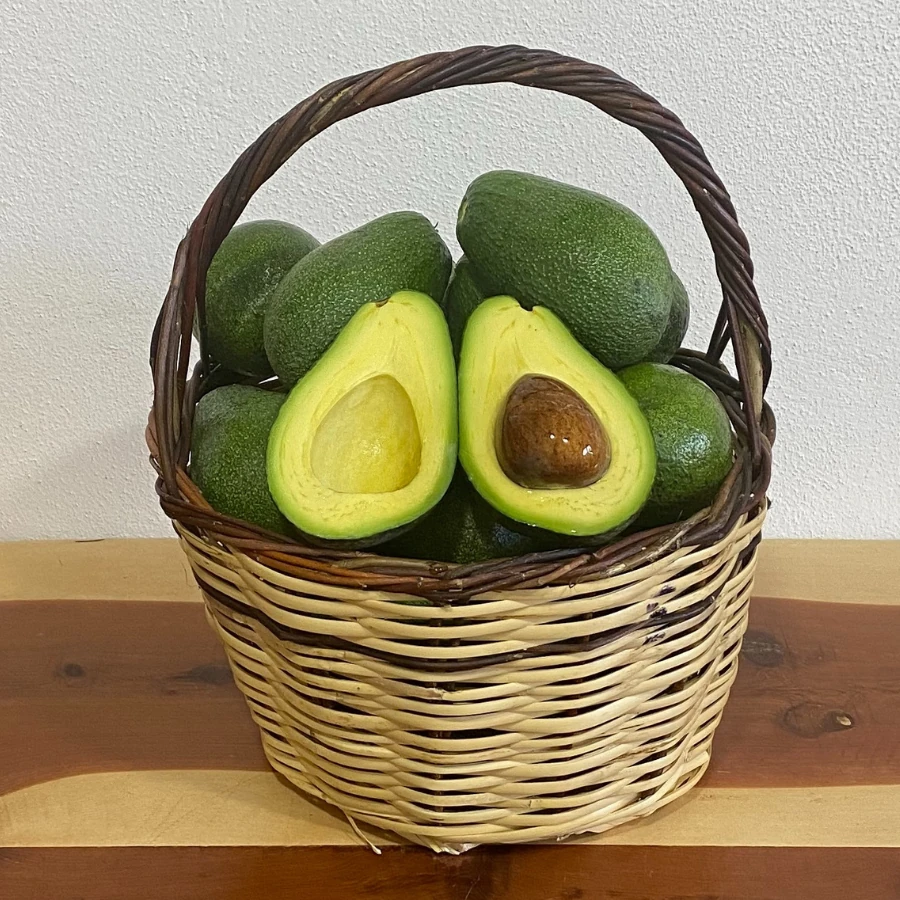 20 adet Avokado (Fuerte) adet 200 gr üzeri