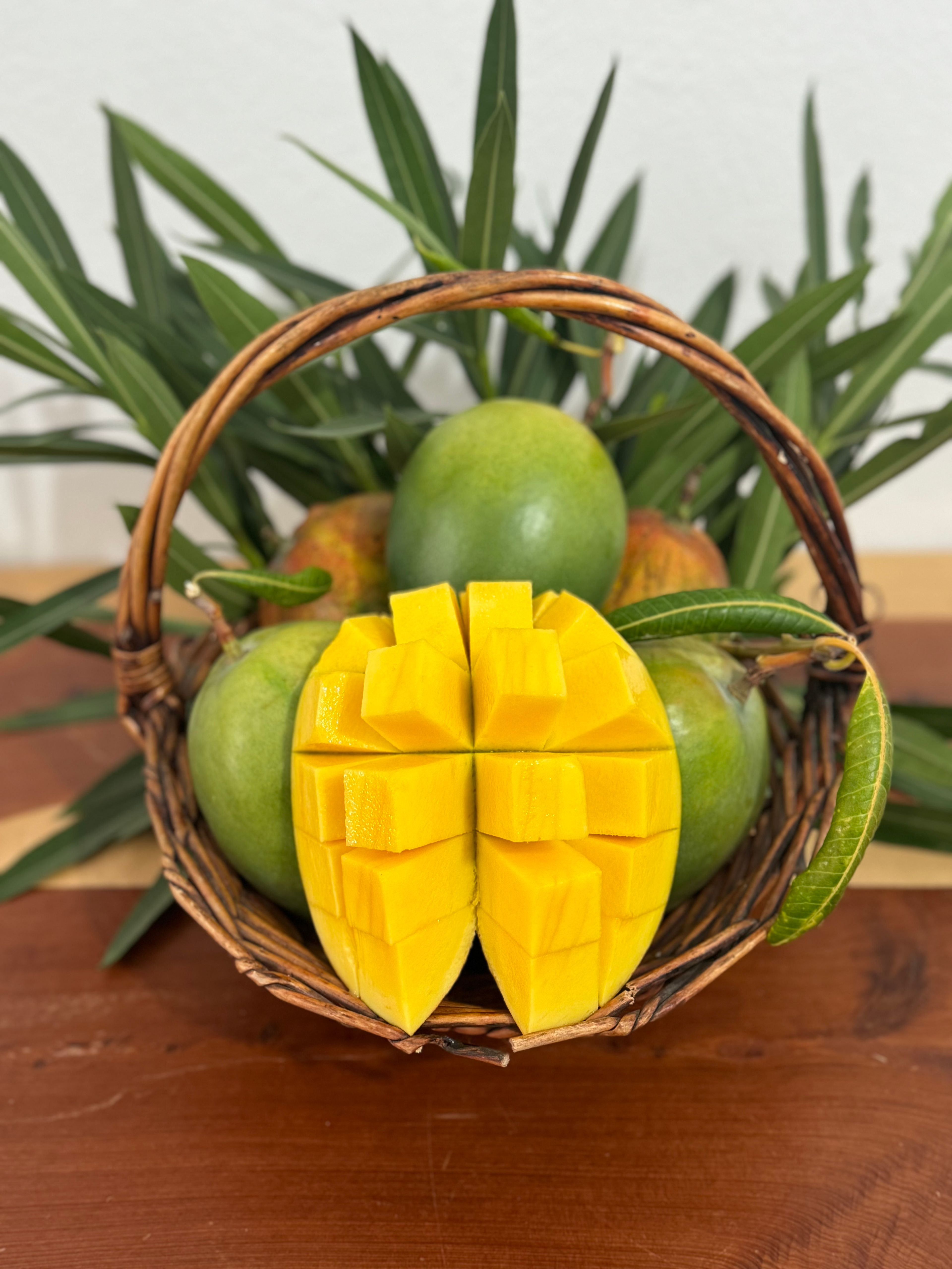 1 adet Yerli Mango (500   700 gr arası) görseli.