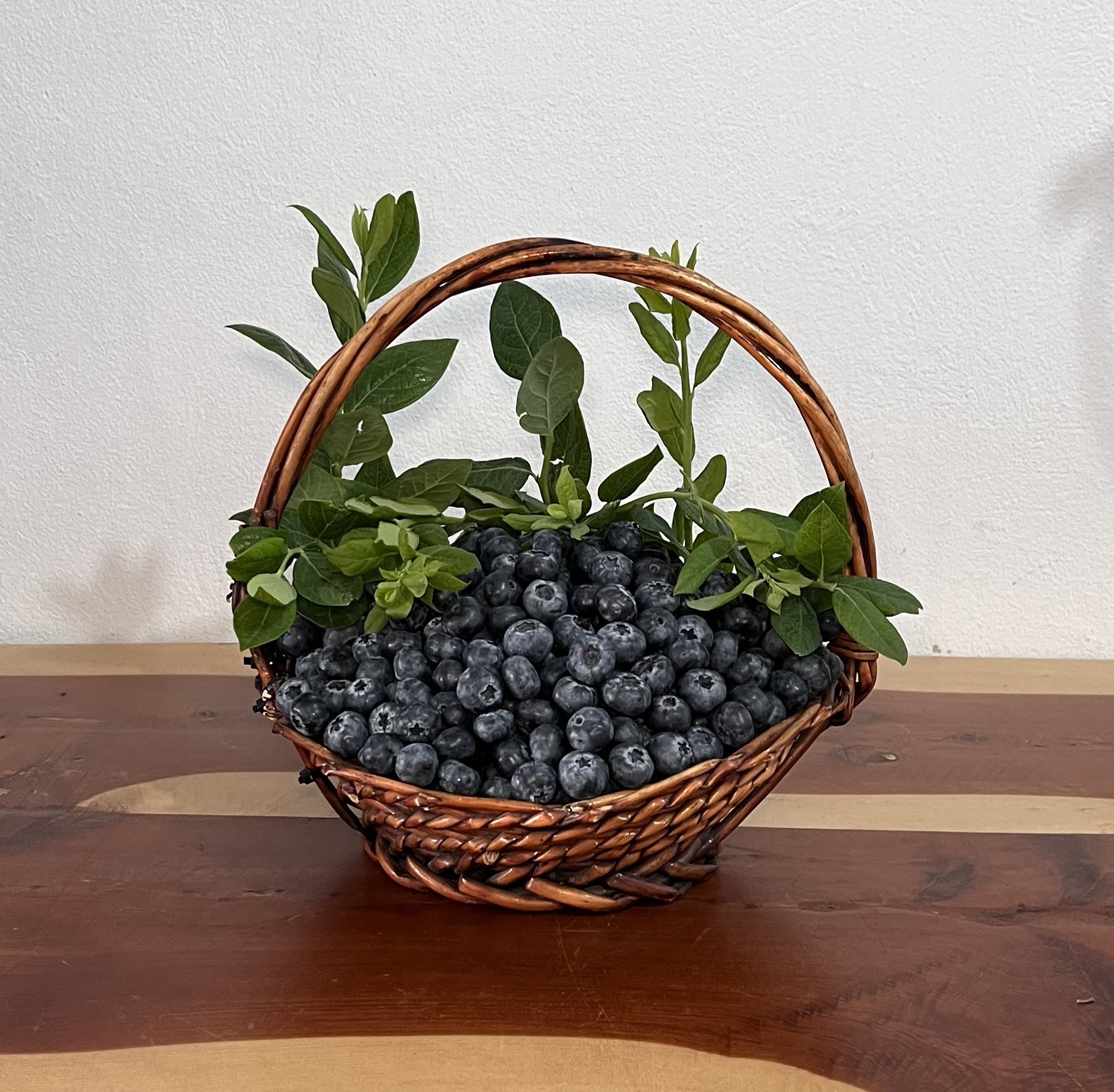 250 gr Yaban Mersini Jumbo Boy (Yerli)