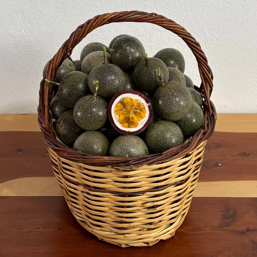 Çarkıfelek (Passiflora) Yerli 1 adet