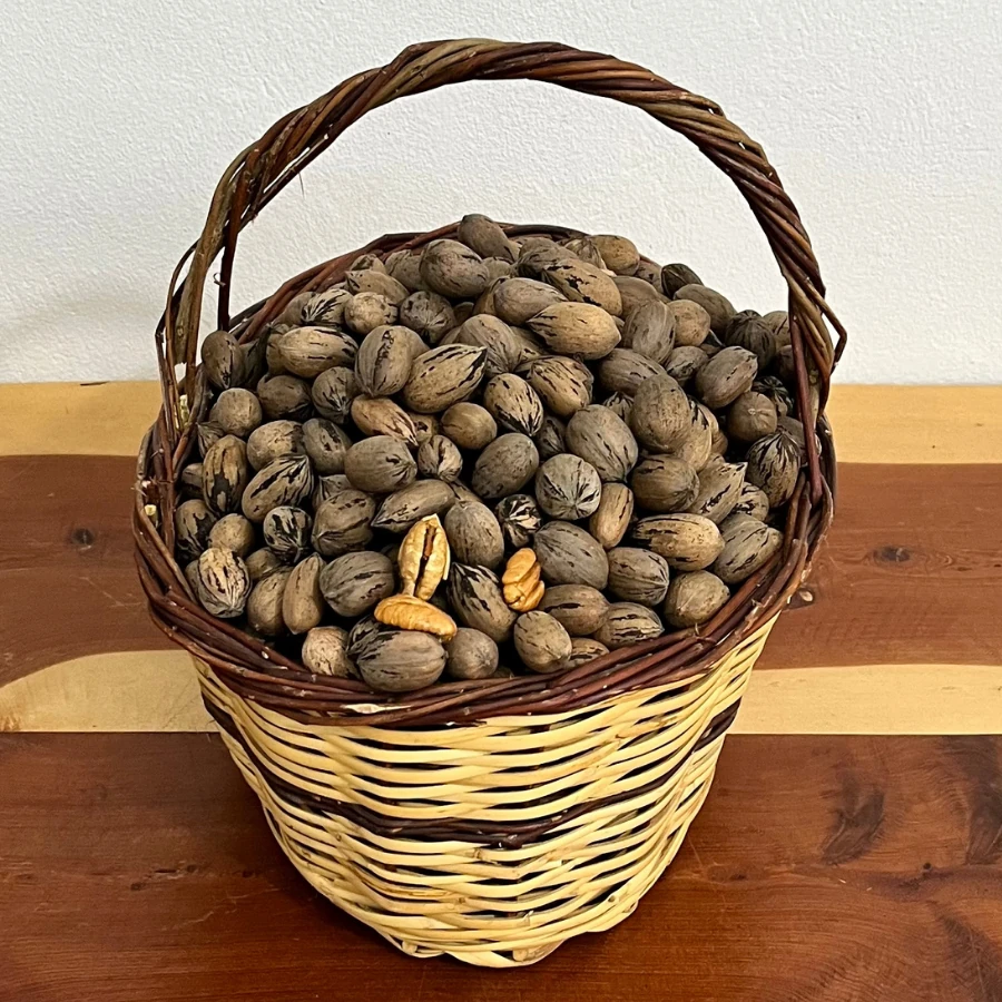 500 gr Pikan Cevizi (Yerli)