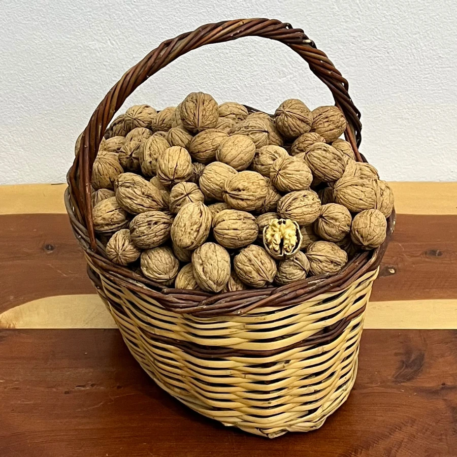 500 gr Ceviz (Chandler)