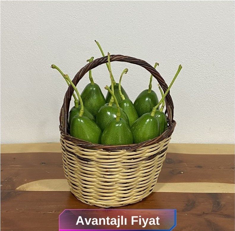 10 adet Avokado (Clifton) 200-250 gr arası