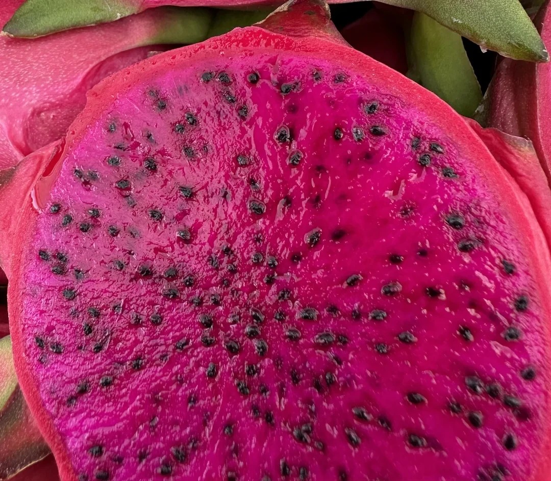 3 kg Kırmızı Ejder Meyvesi (300 gr ve üzeri) görseli.