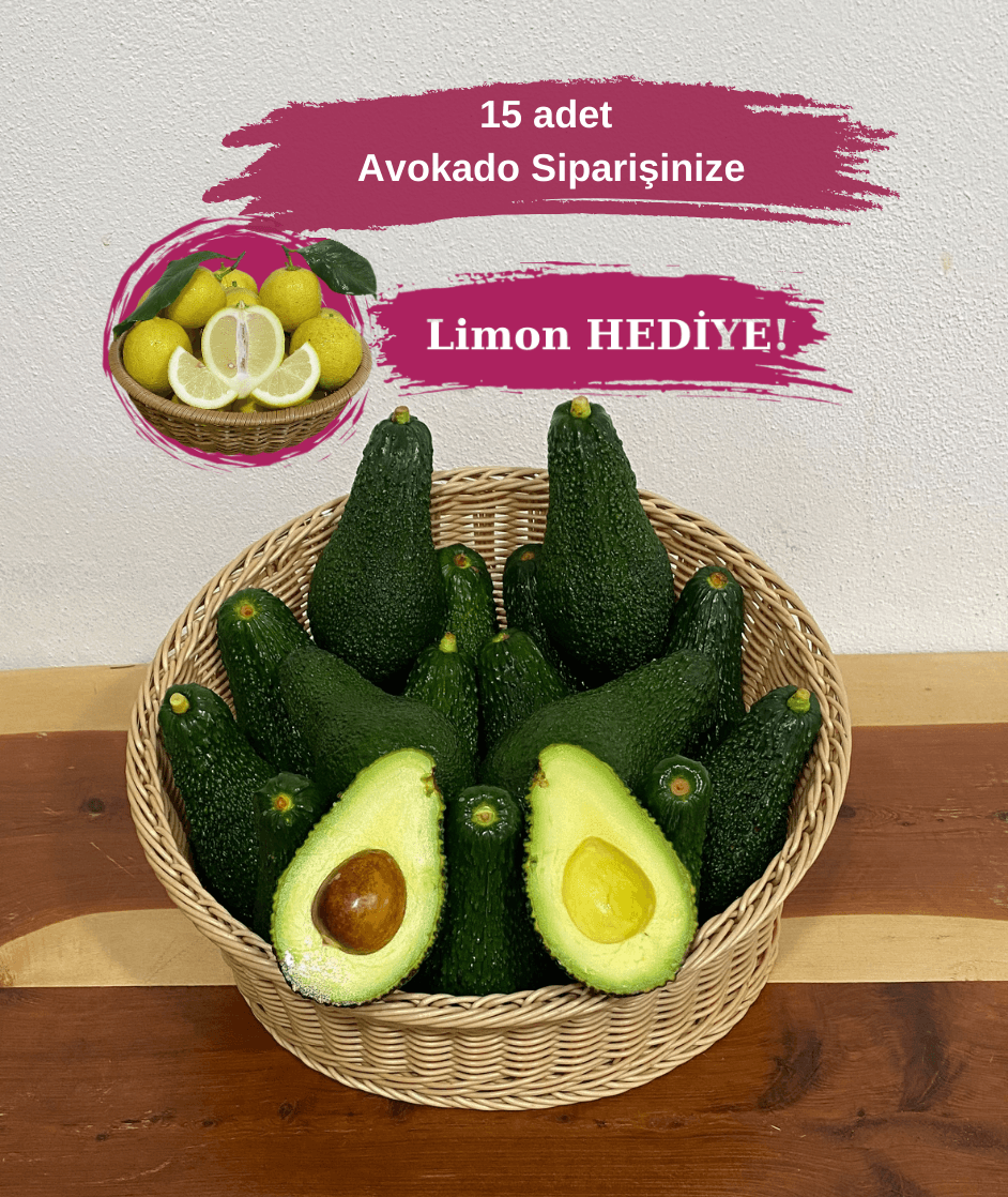 15 adet Avokado (Pinkerton) 200 gr üzeri