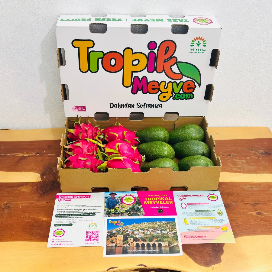 Fuerte Avokadolu Kutu