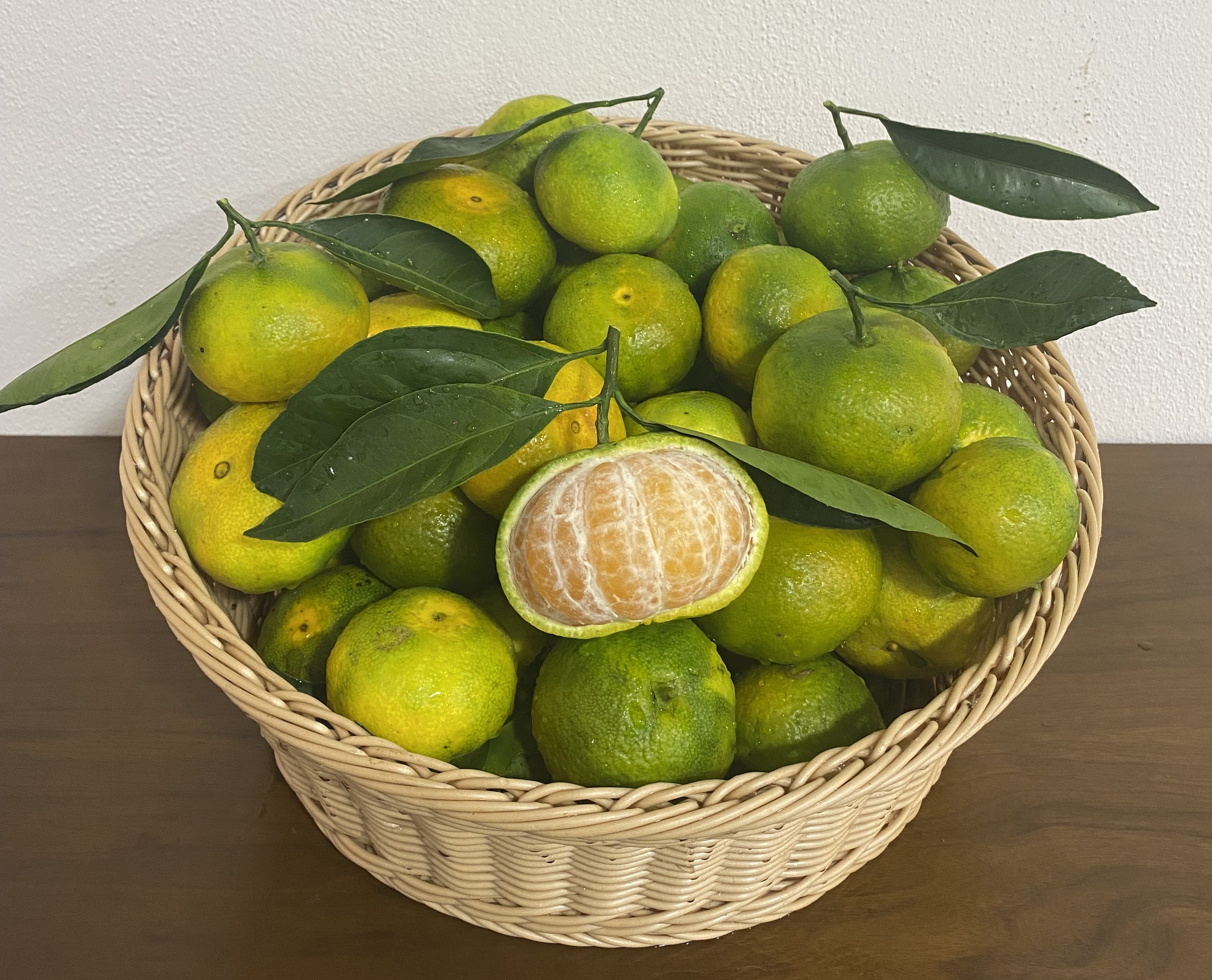 1 kg Mandalina (Satsuma)