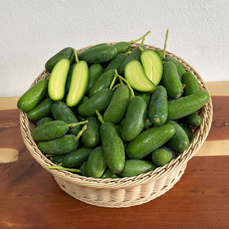 500 gr Bebek Avokado